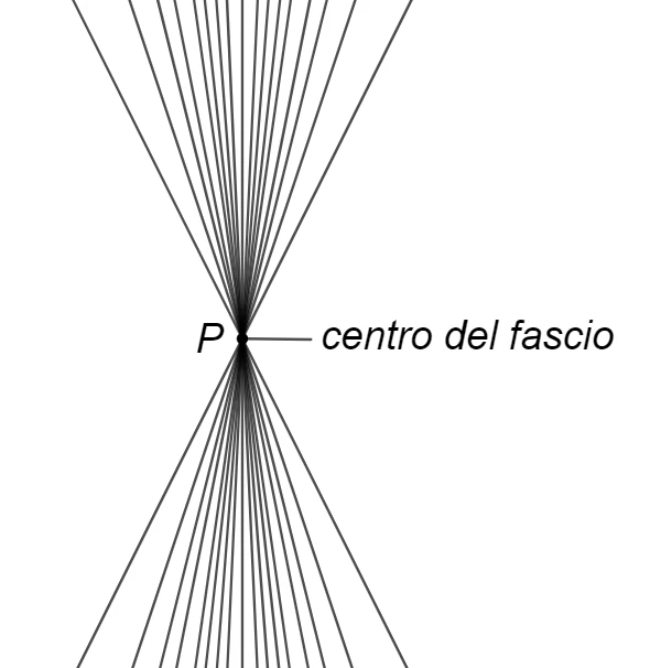 Centro di un fascio proprio di rette