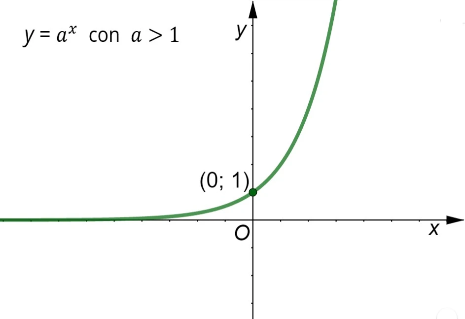 Grafici di funzioni esponenziali con base maggiore di 1 passanti per il punto (0; 1)