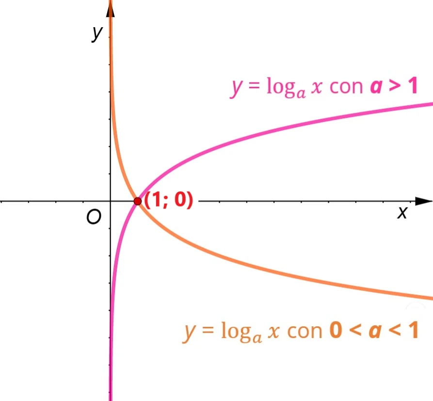 Grafici delle funzioni logaritmiche